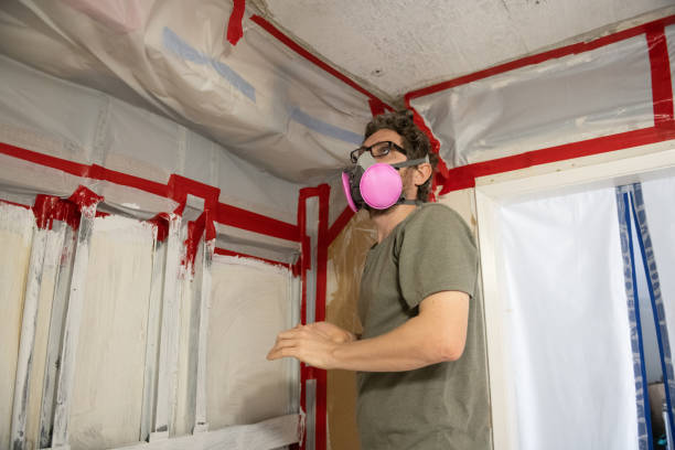 Best Mold Odor Removal Services  in Glasgow, KY